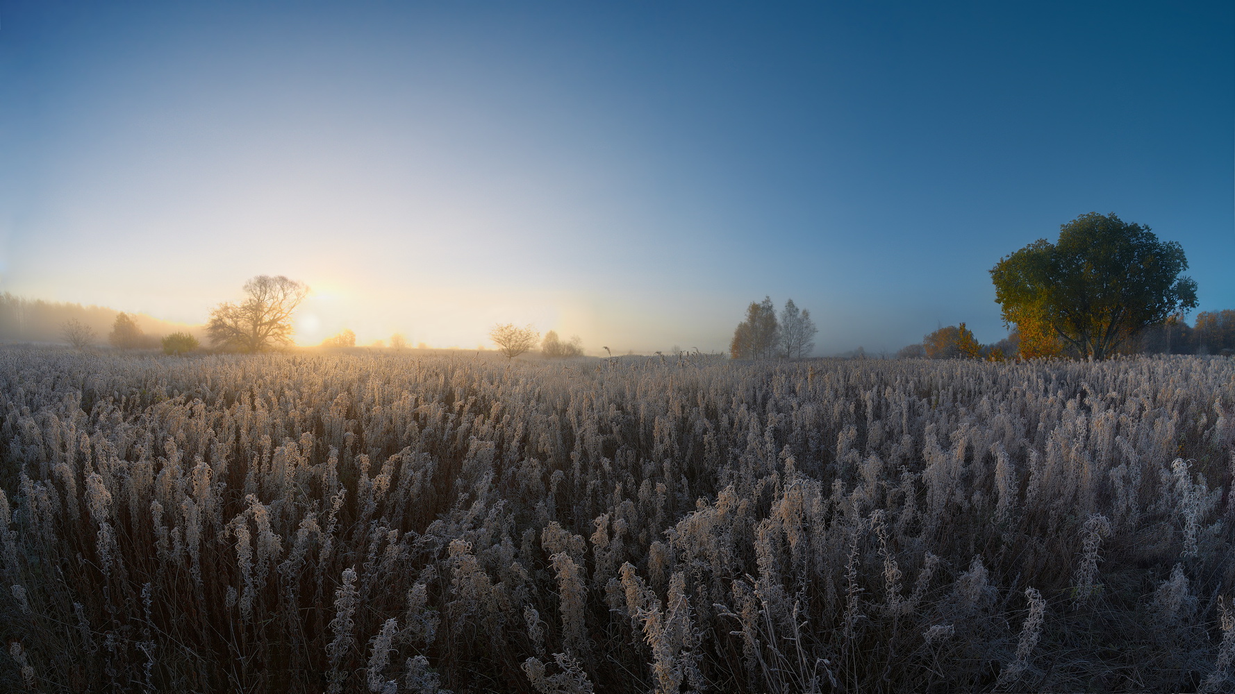 photo "***" tags: landscape, nature, 