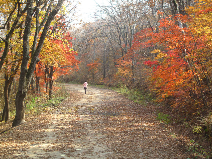 photo "***" tags: landscape, autumn, people