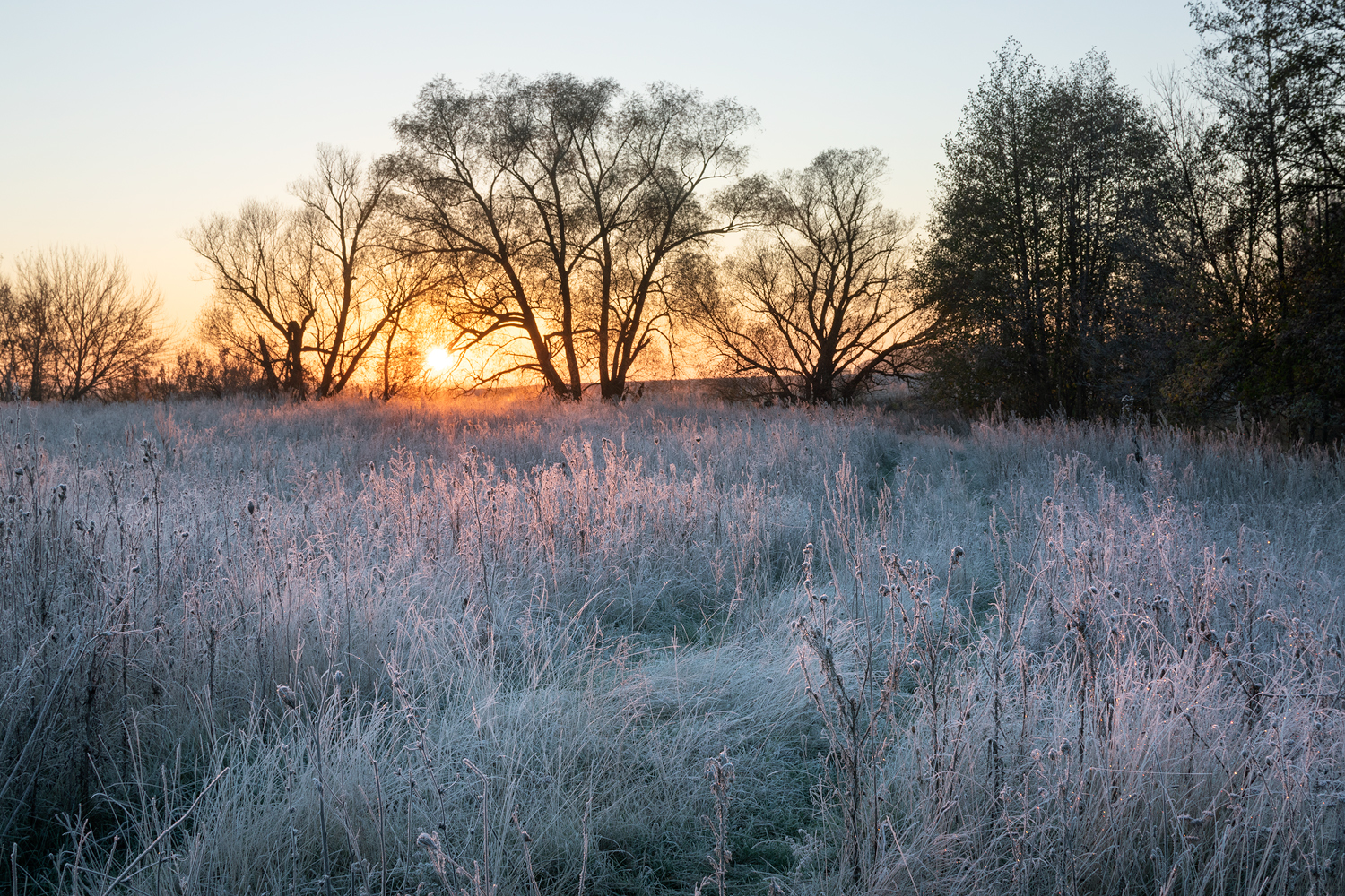 photo "***" tags: landscape, 