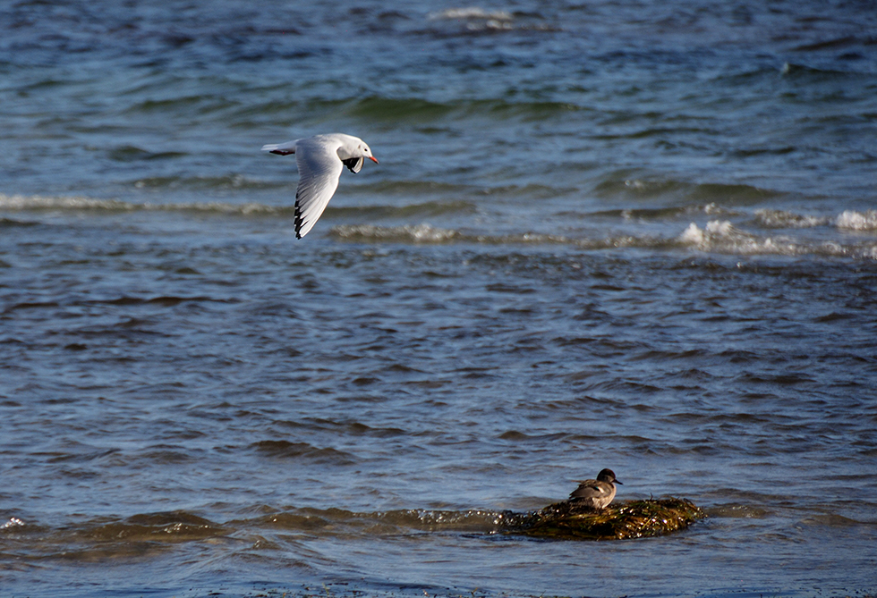 photo "Fishing" tags: nature, landscape, reporting, 