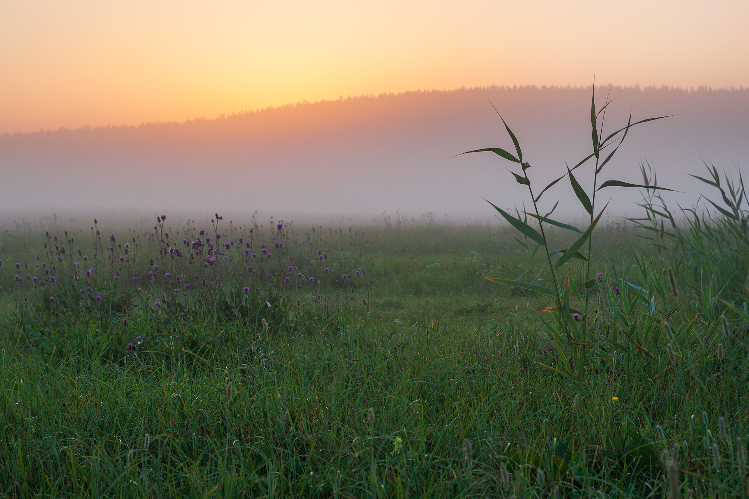 photo "***" tags: landscape, 