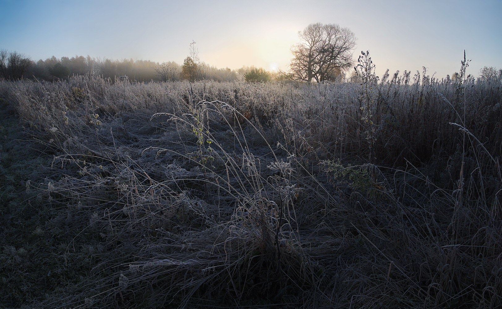 photo "***" tags: landscape, nature, 