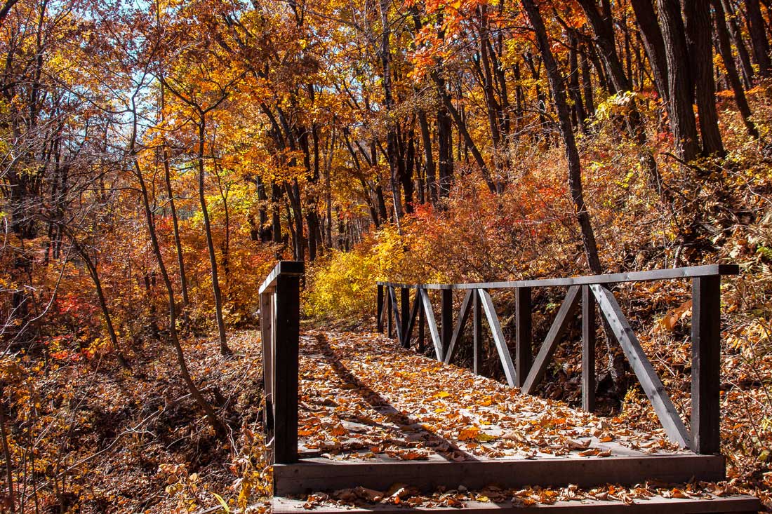 photo "***" tags: landscape, autumn