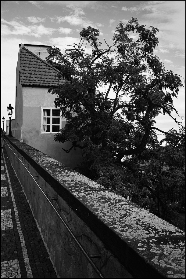 photo "Дом и дерево" tags: black&white, Prag, Prague, Praha