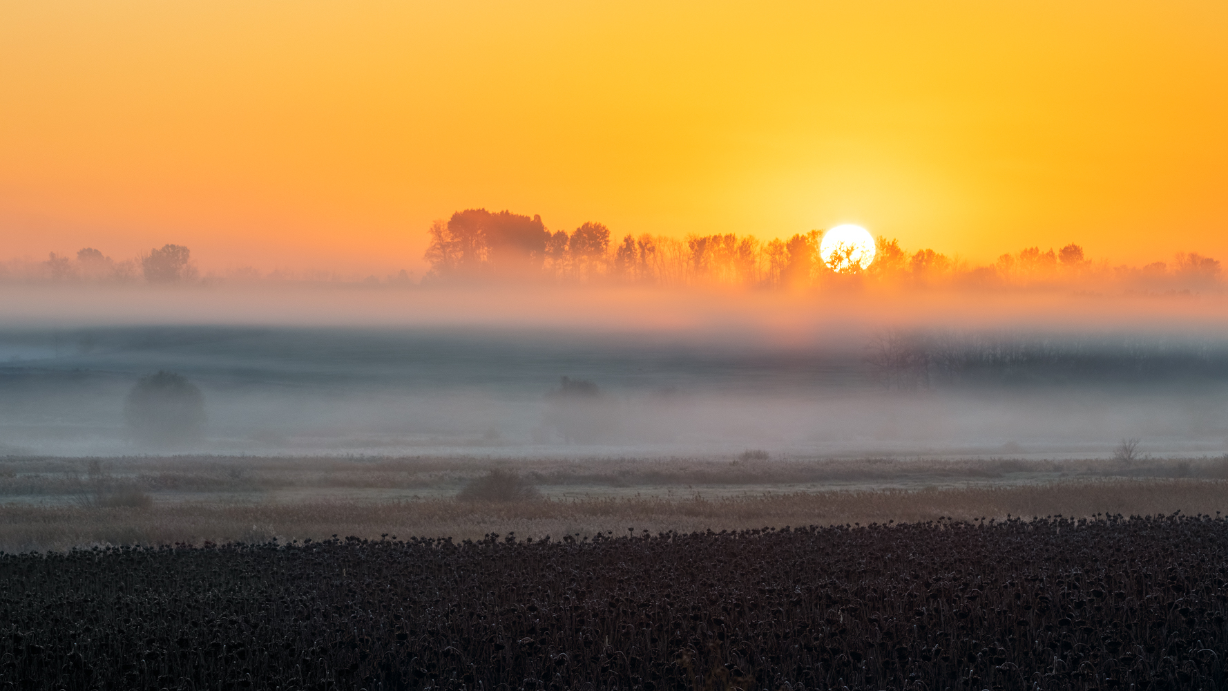 фото "***" метки: пейзаж, 