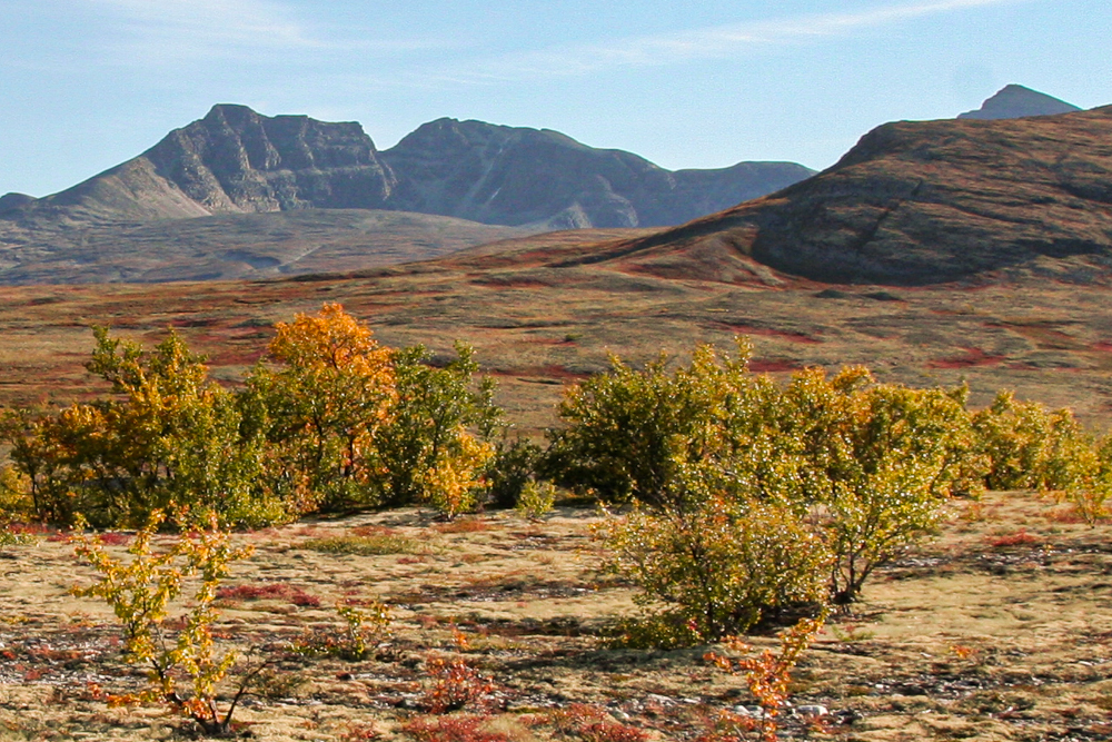 photo "Rondane mountains" tags: landscape, 
