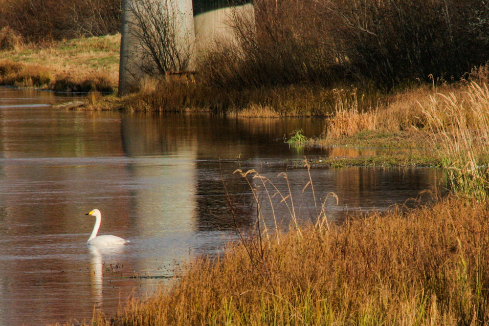 photo "Vision de repos" tags: glamour, 