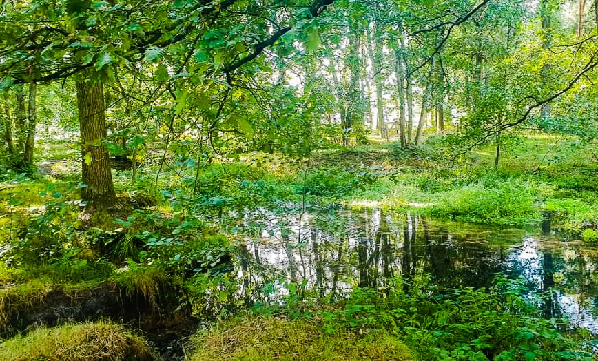 фото "Nature" метки: природа, 