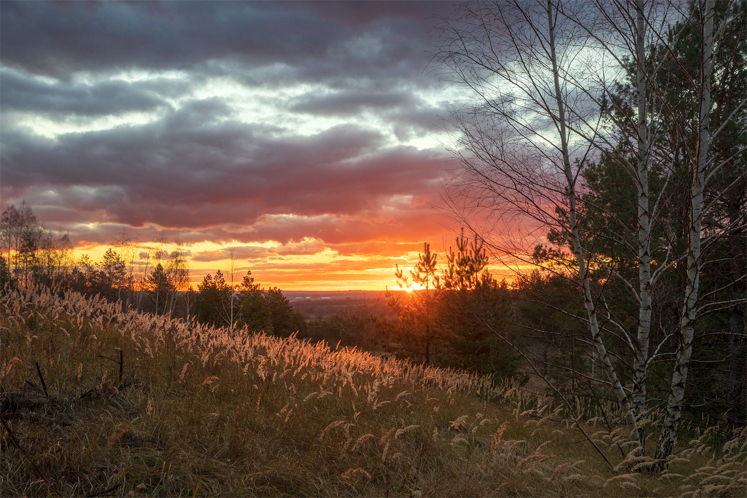 photo "***" tags: landscape, 