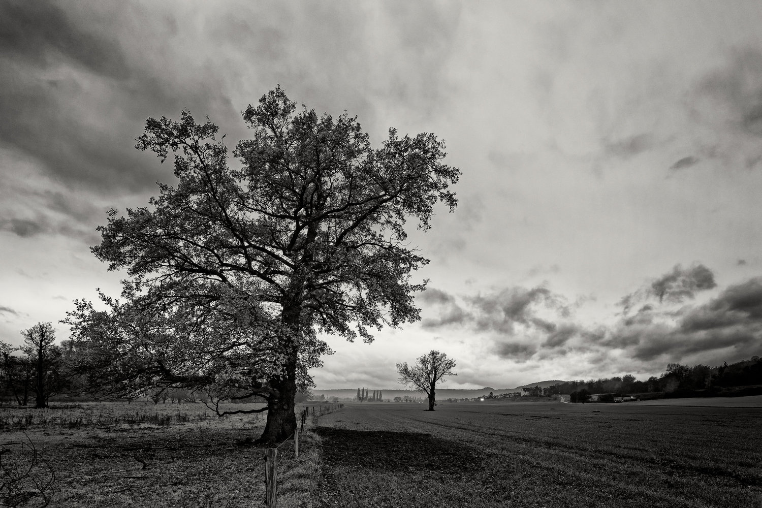 photo "***" tags: landscape, black&white, Europe, autumn