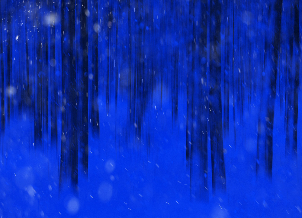 фото "В темно-синем лесу" метки: , 