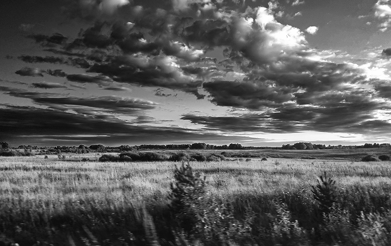 photo "***" tags: landscape, nature, black&white, 