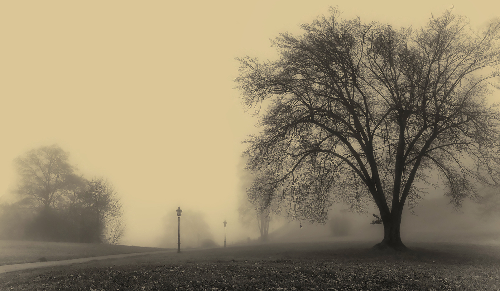фото "В зоне тумана" метки: пейзаж, черно-белые, 