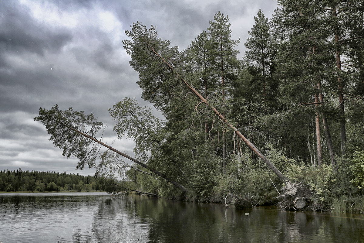 photo "***" tags: nature, landscape, travel, 