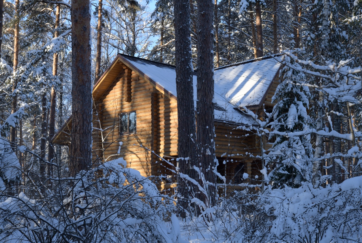 photo "***" tags: nature, architecture, forest, snow, tree, winter, дом