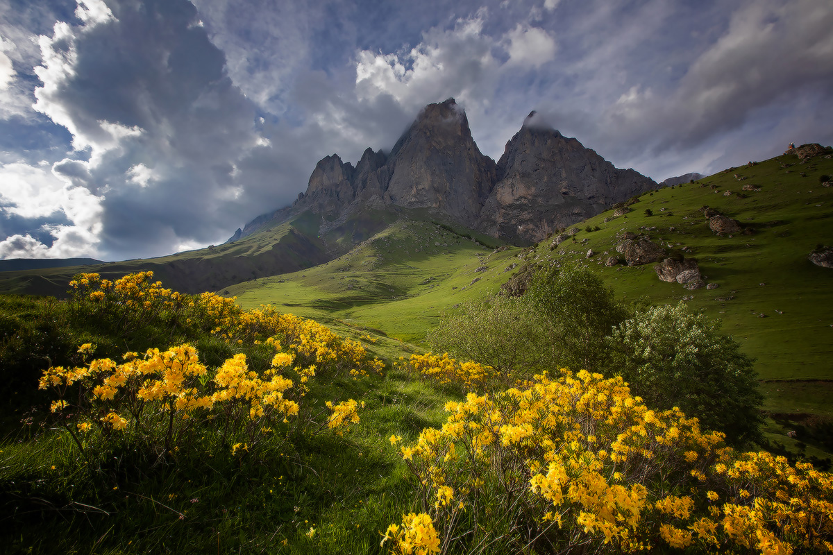 фото "В горах" метки: , 