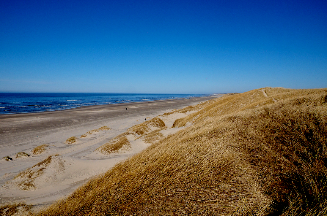 фото "The beach" метки: пейзаж, природа, репортаж, 