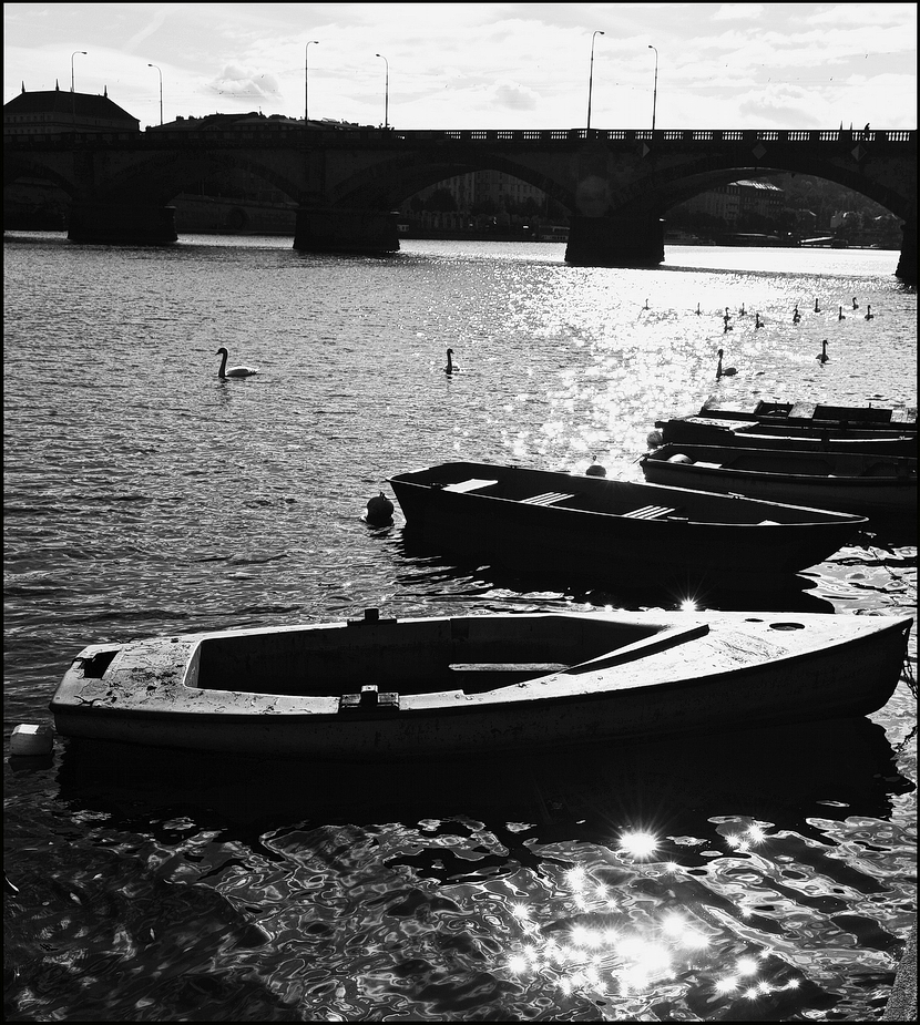 photo "У Влтаву-13" tags: black&white, Prag, Prague, Praha