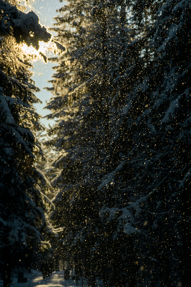 фото "Красавица зима" метки: пейзаж, 