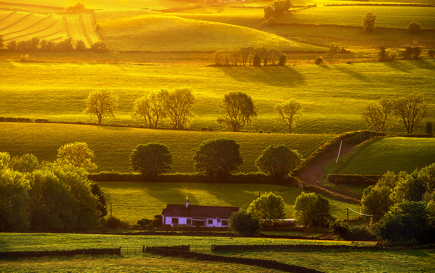 фото "Irish Gold" метки: пейзаж, природа, путешествия, 