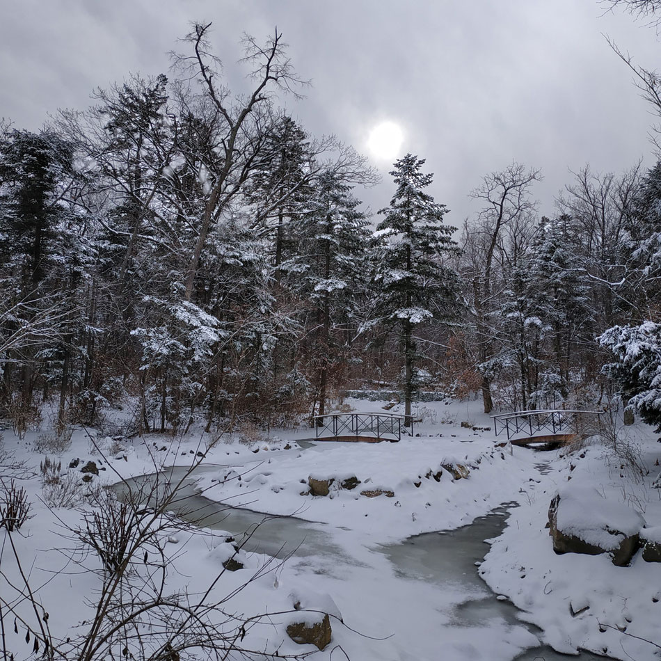 фото "Зимние зарисовки" метки: пейзаж, зима, лес