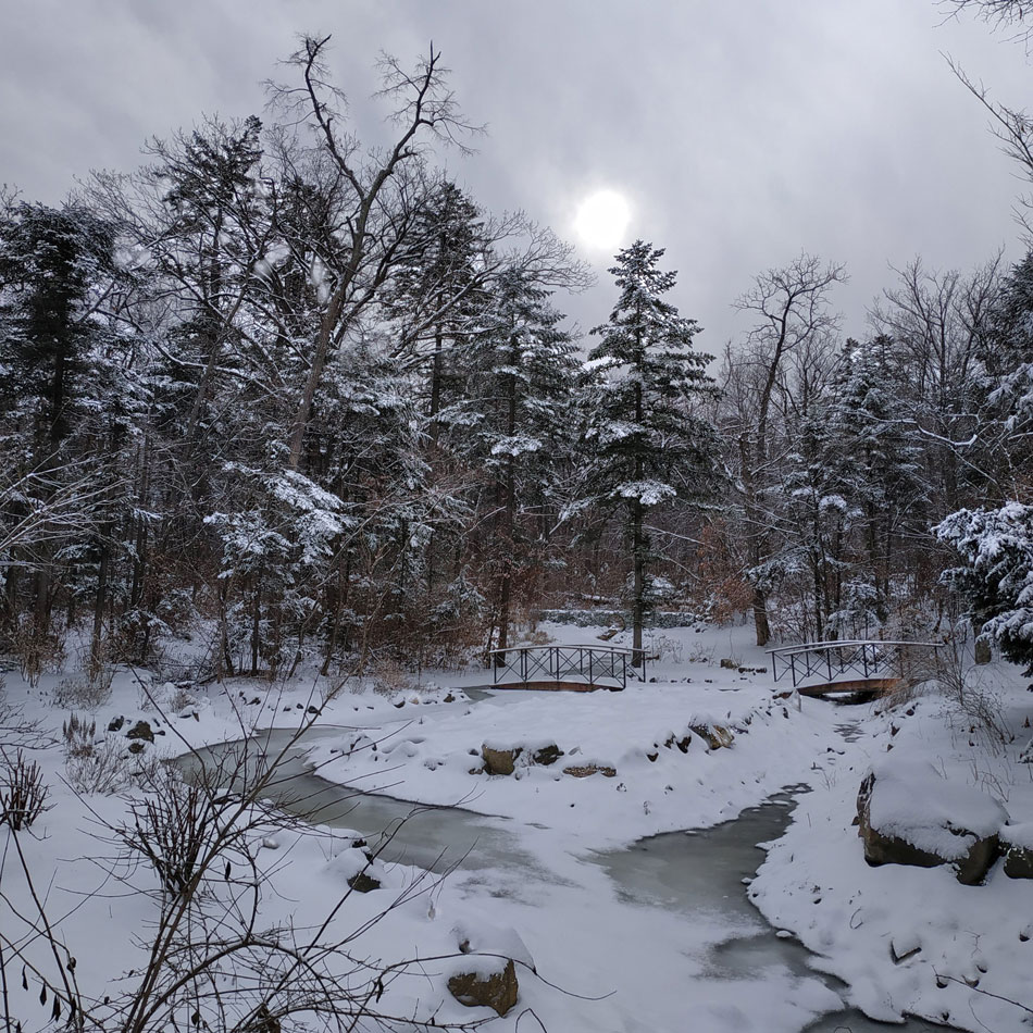 photo "***" tags: landscape, forest, winter