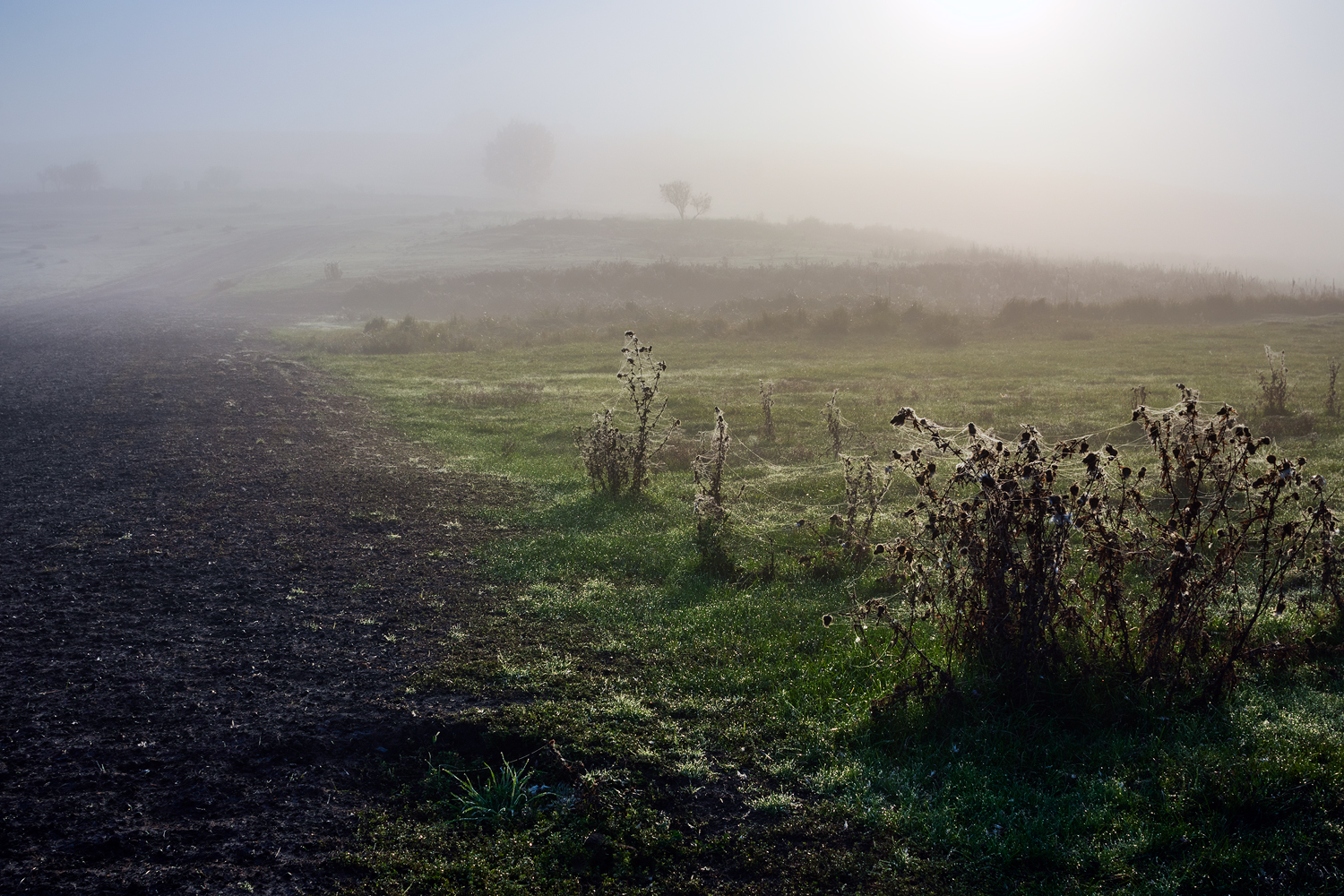 photo "***" tags: landscape, 
