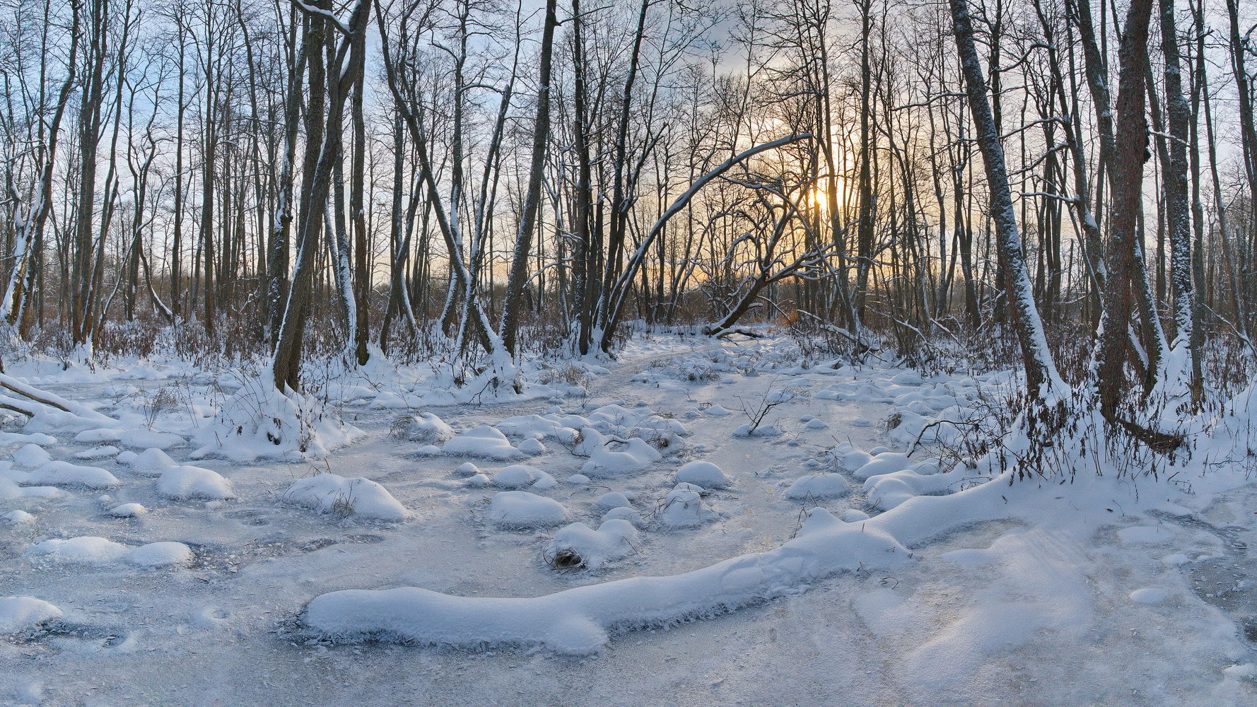 photo "***" tags: landscape, nature, 