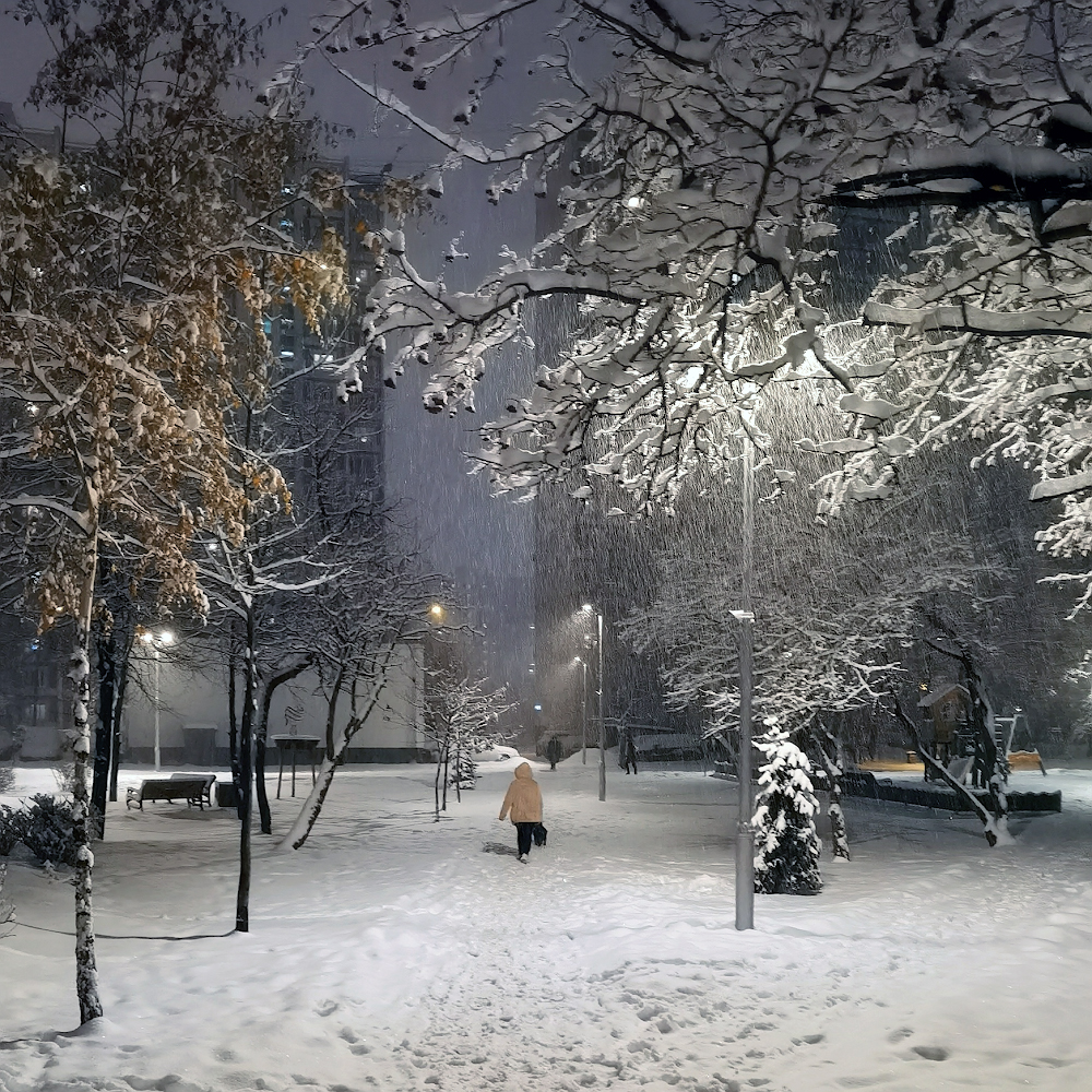фото "Ночной снегопад..." метки: стрит-фото, город, фото с телефона