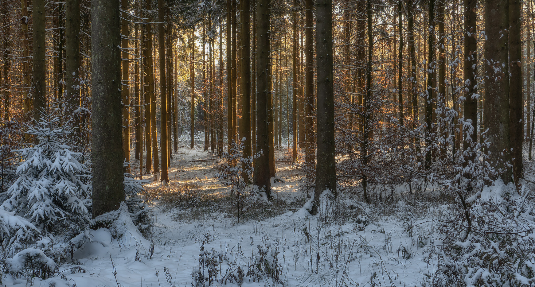 фото "***" метки: пейзаж, 