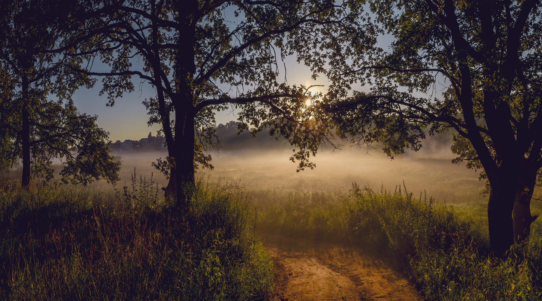 photo "***" tags: nature, landscape, 