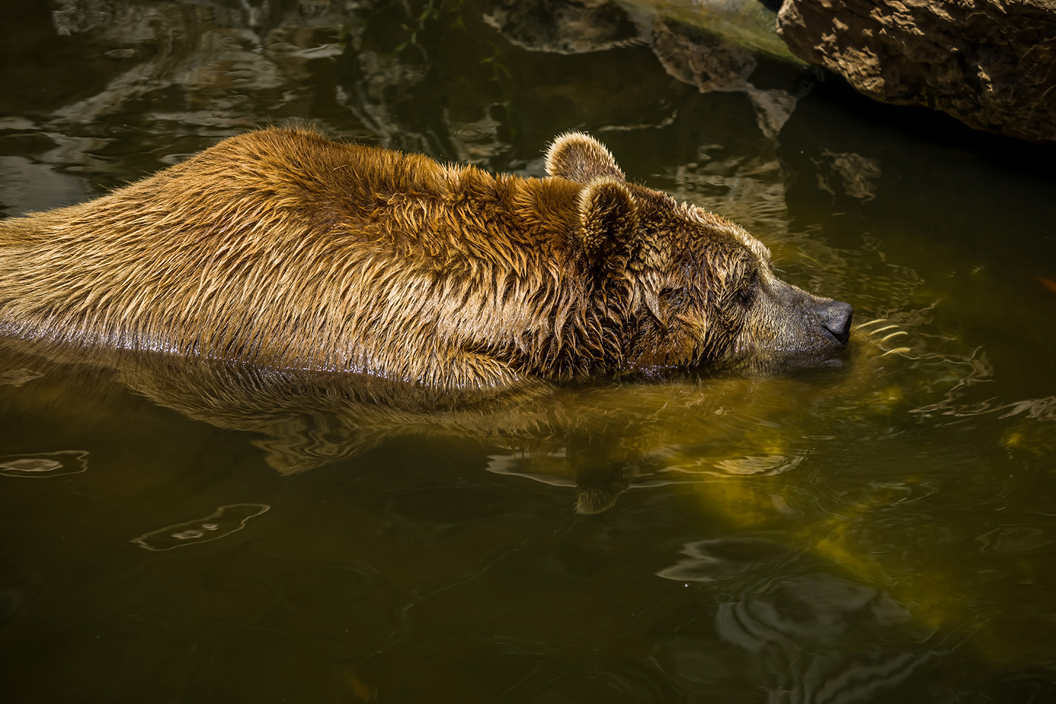 фото "***" метки: разное, 