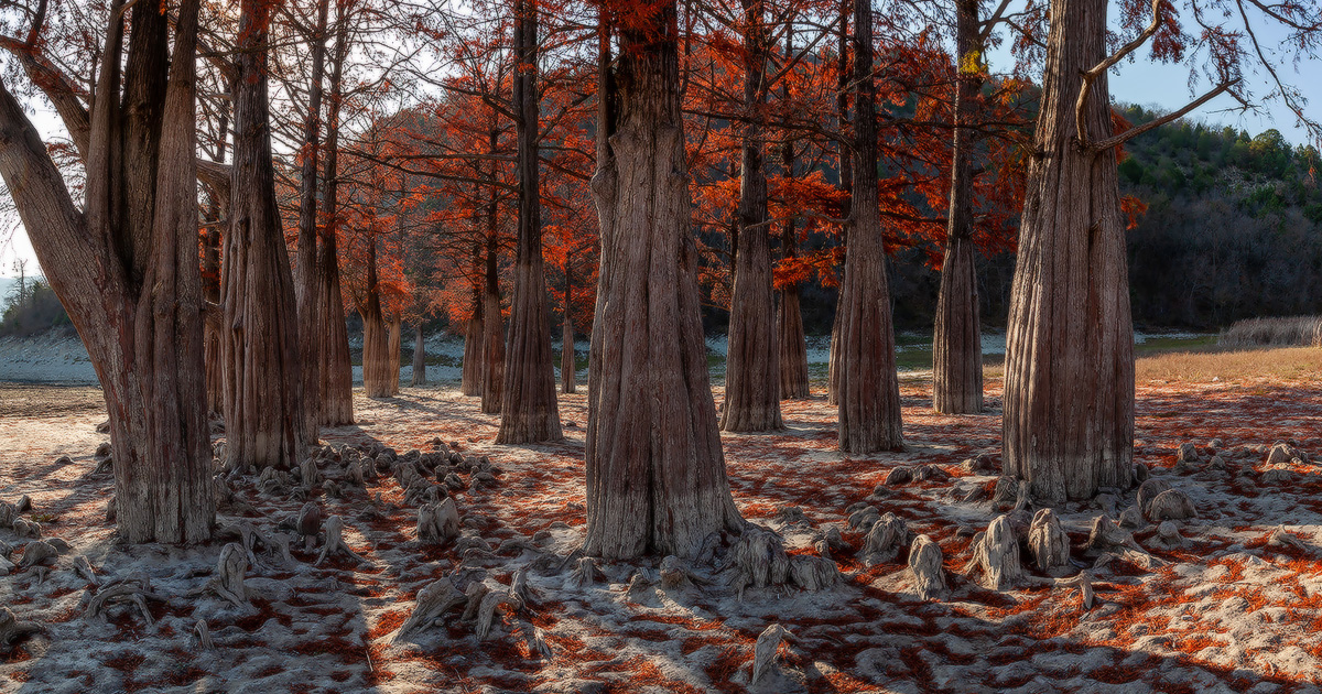 фото "Рыжая пора" метки: , 