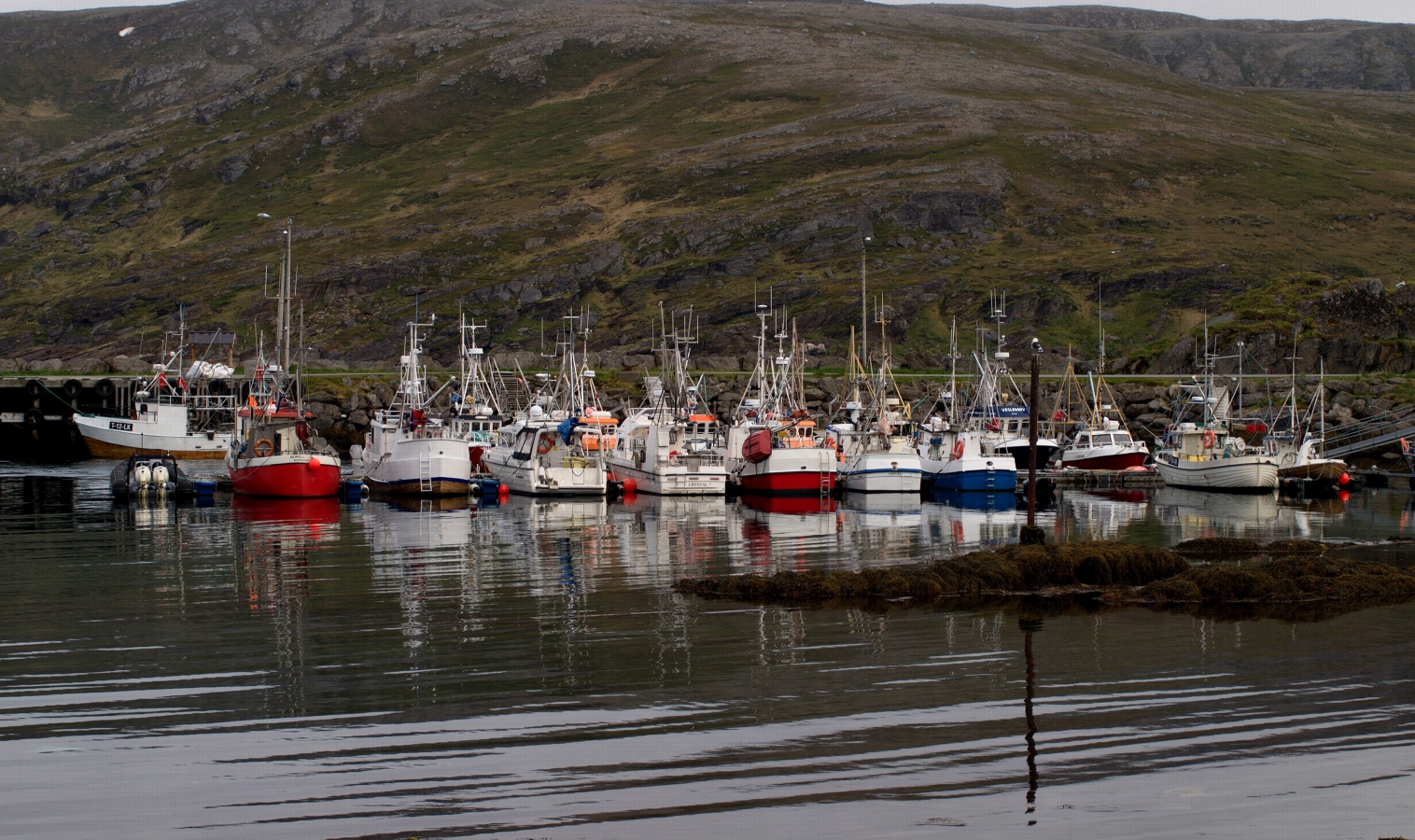 фото "В Skipsfjord" метки: путешествия, 