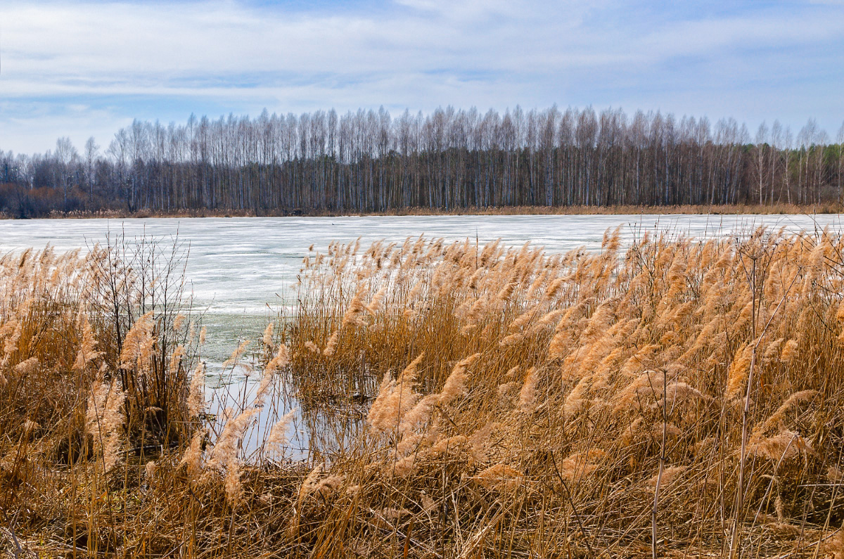 фото "***" метки: пейзаж, 