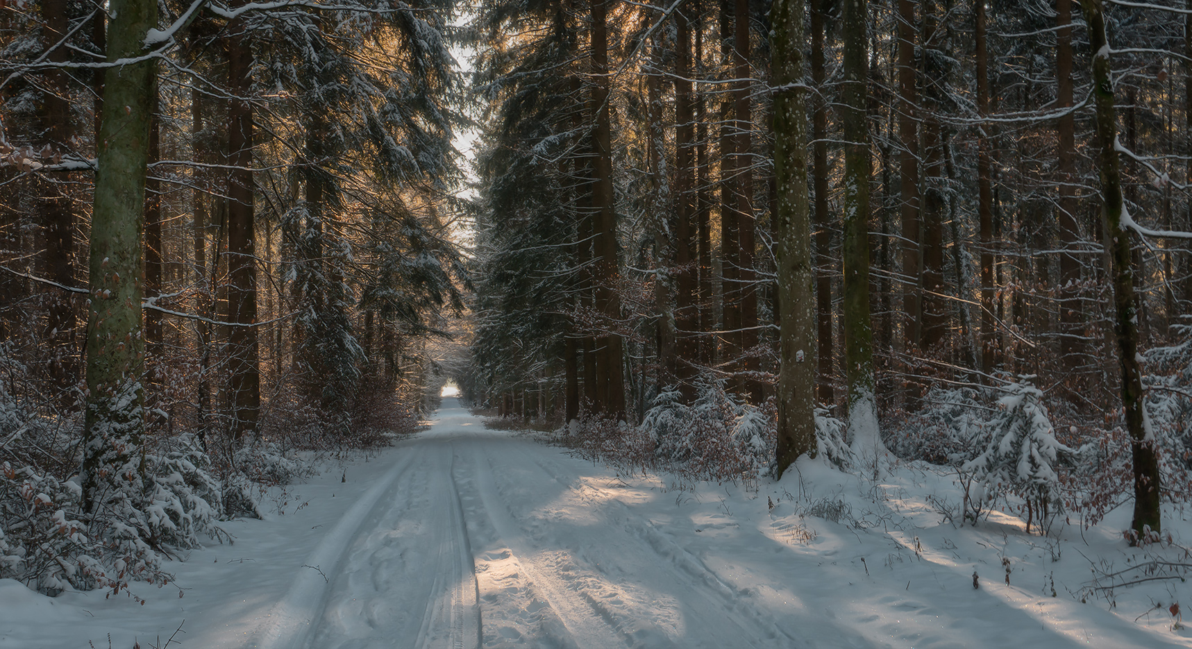 фото "Зимняя дорога" метки: пейзаж, 