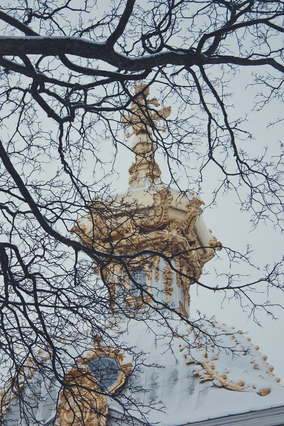 photo "ветви" tags: architecture, misc., city, tree, winter, Петергоф, Петродворец, ветви, ветвь