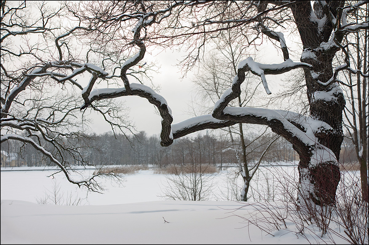 фото "* * *" метки: город, 