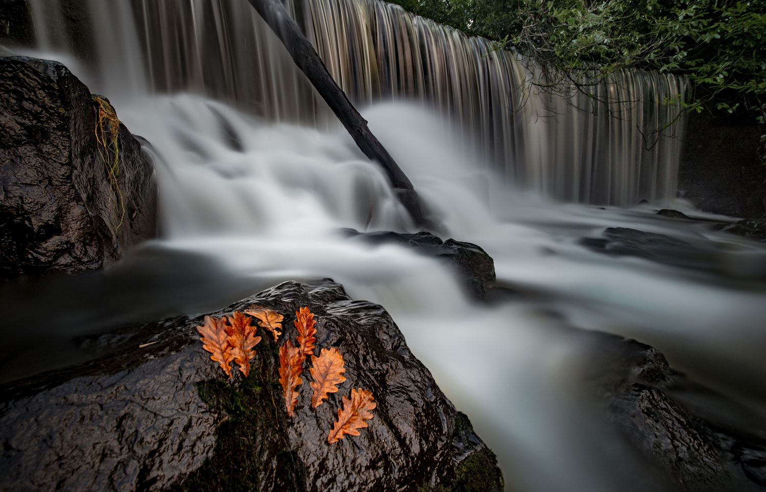 фото "Crumlin Glen" метки: пейзаж, путешествия, природа, 