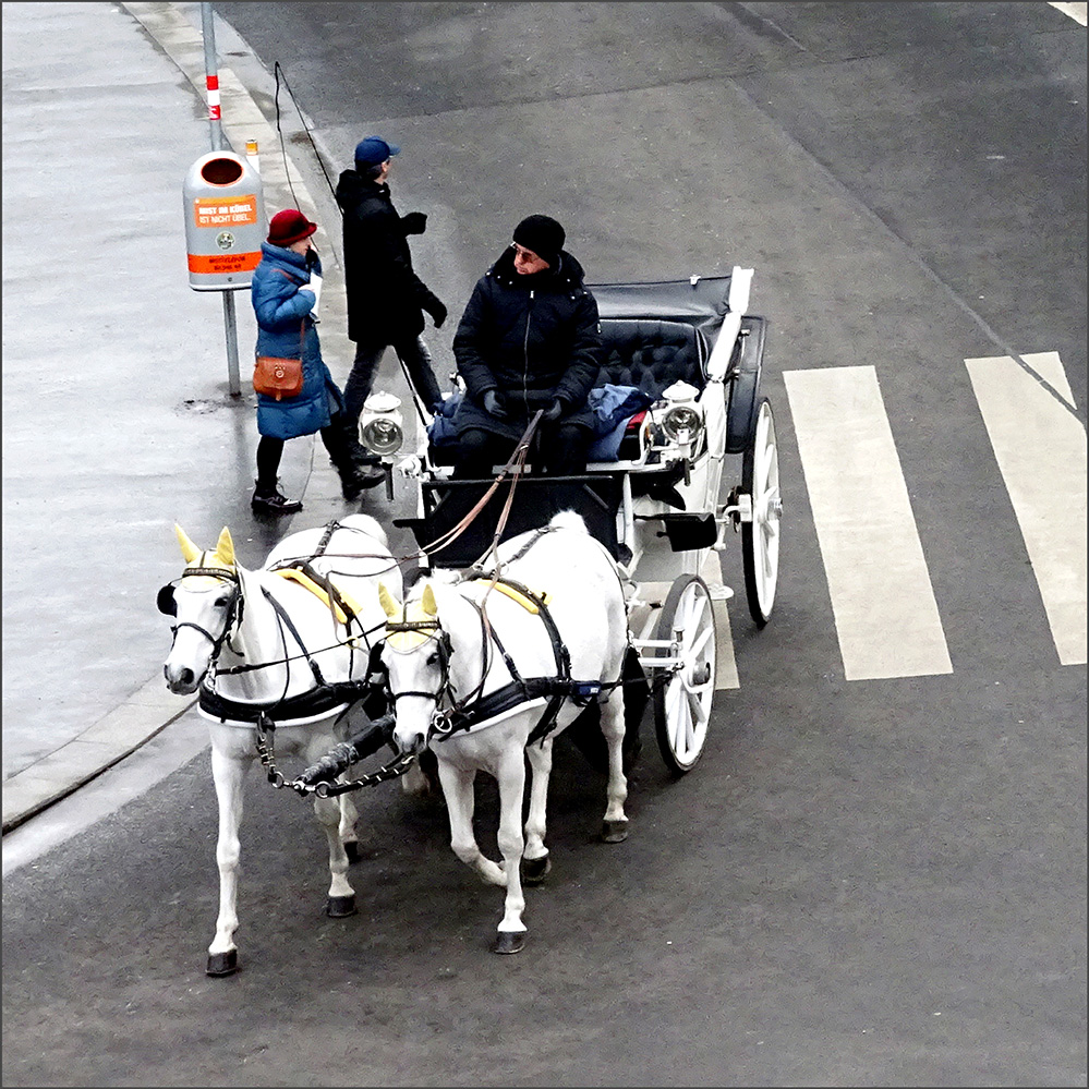 photo "Повседневная жизнь в Вене..." tags: city, street, 