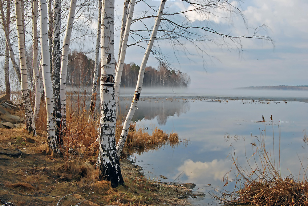 photo "***" tags: landscape, birches, lake, spring, урал