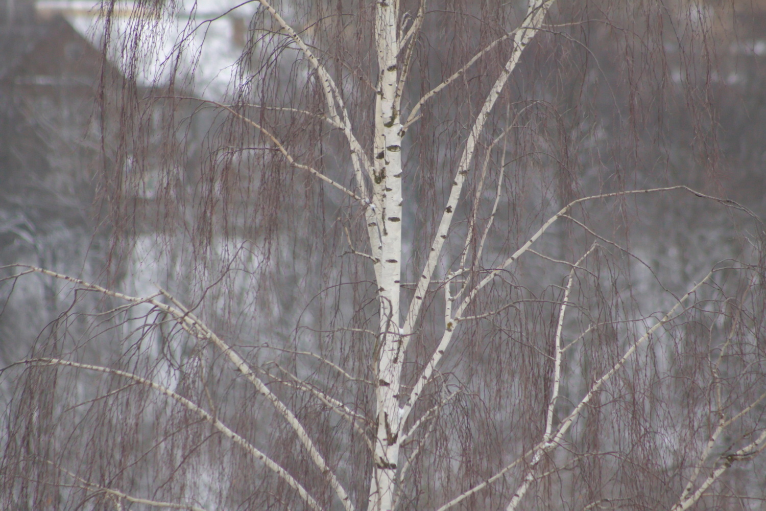 photo "***" tags: landscape, 