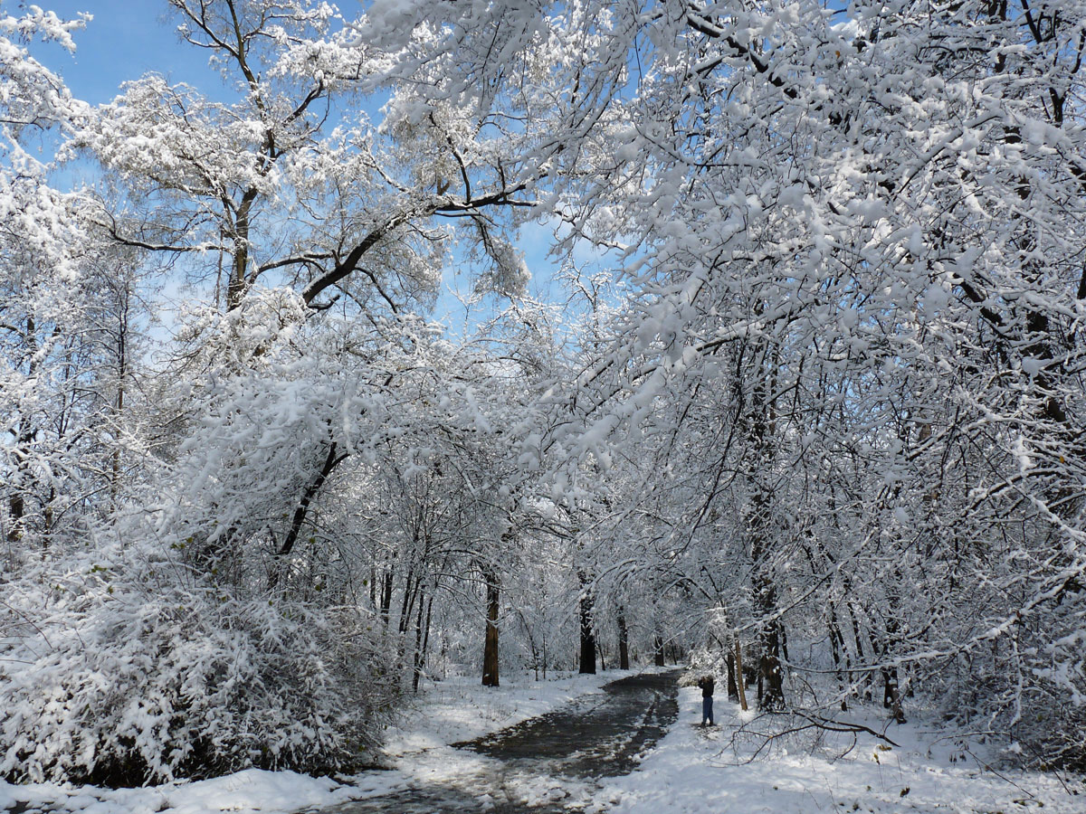 photo "***" tags: nature, winter