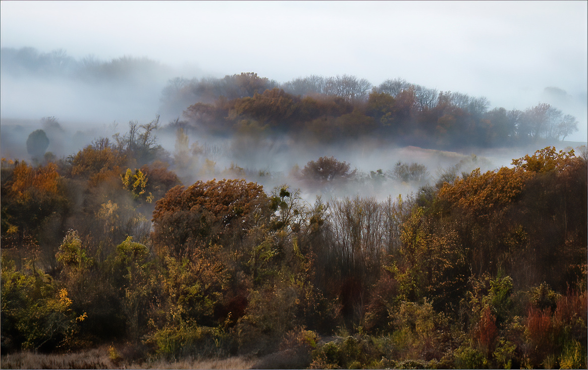 photo "***" tags: landscape, nature, 