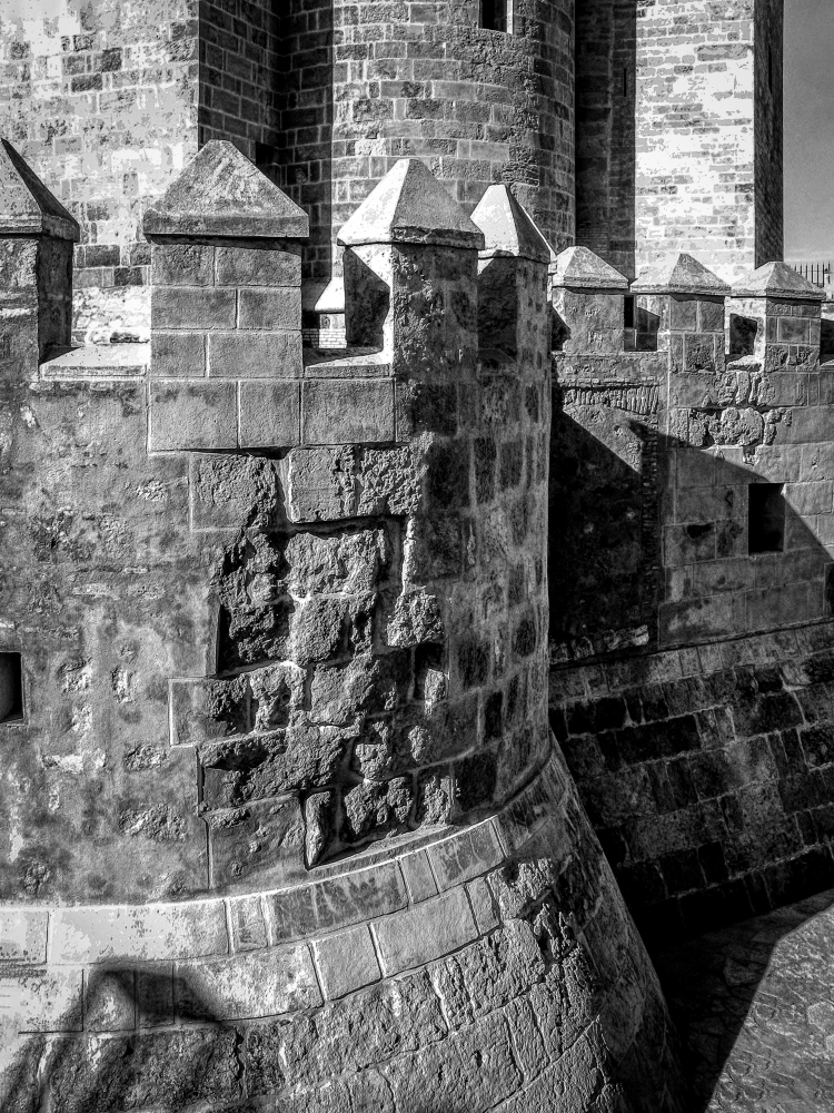 photo "Geometry of the Fortress" tags: black&white, 