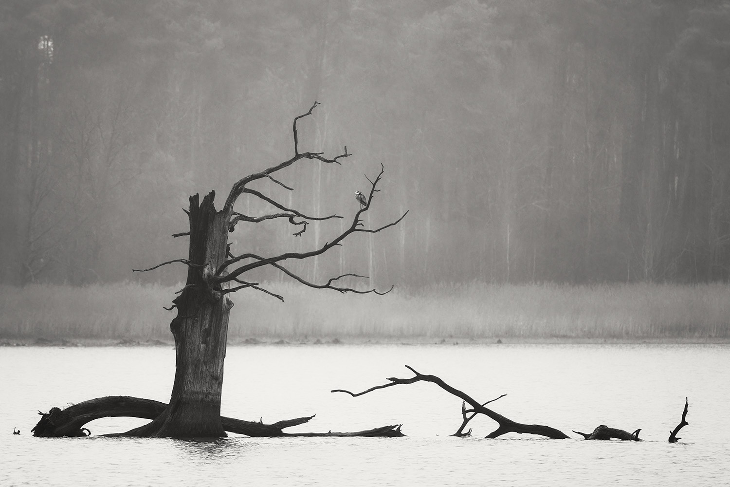 фото "***" метки: пейзаж, черно-белые, Europe, вода, зима