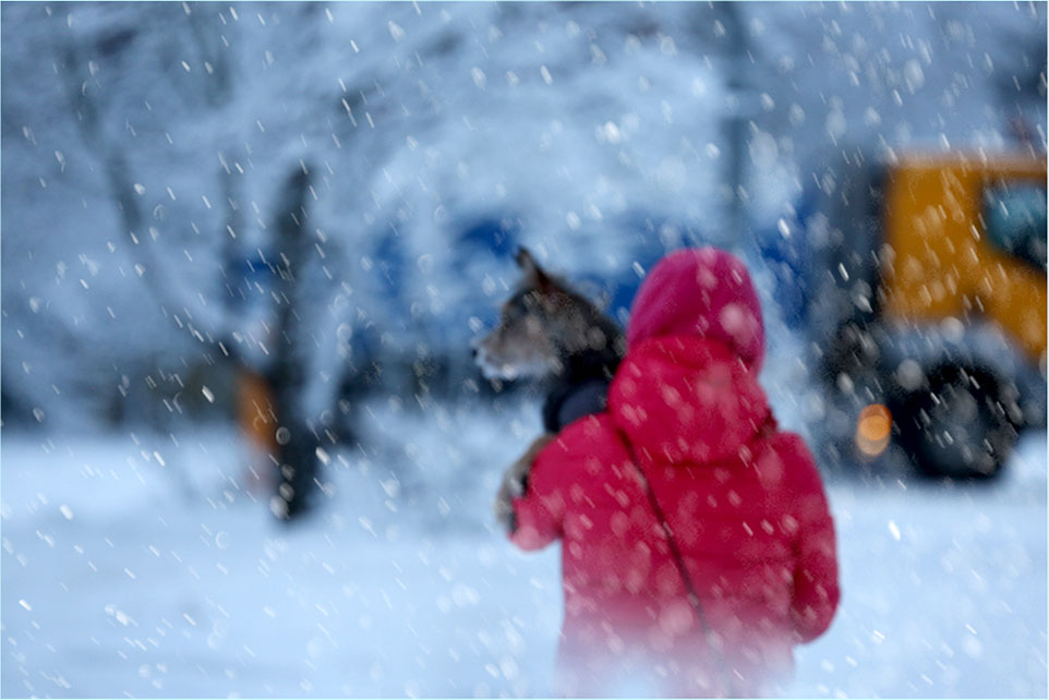 фото "***" метки: , 