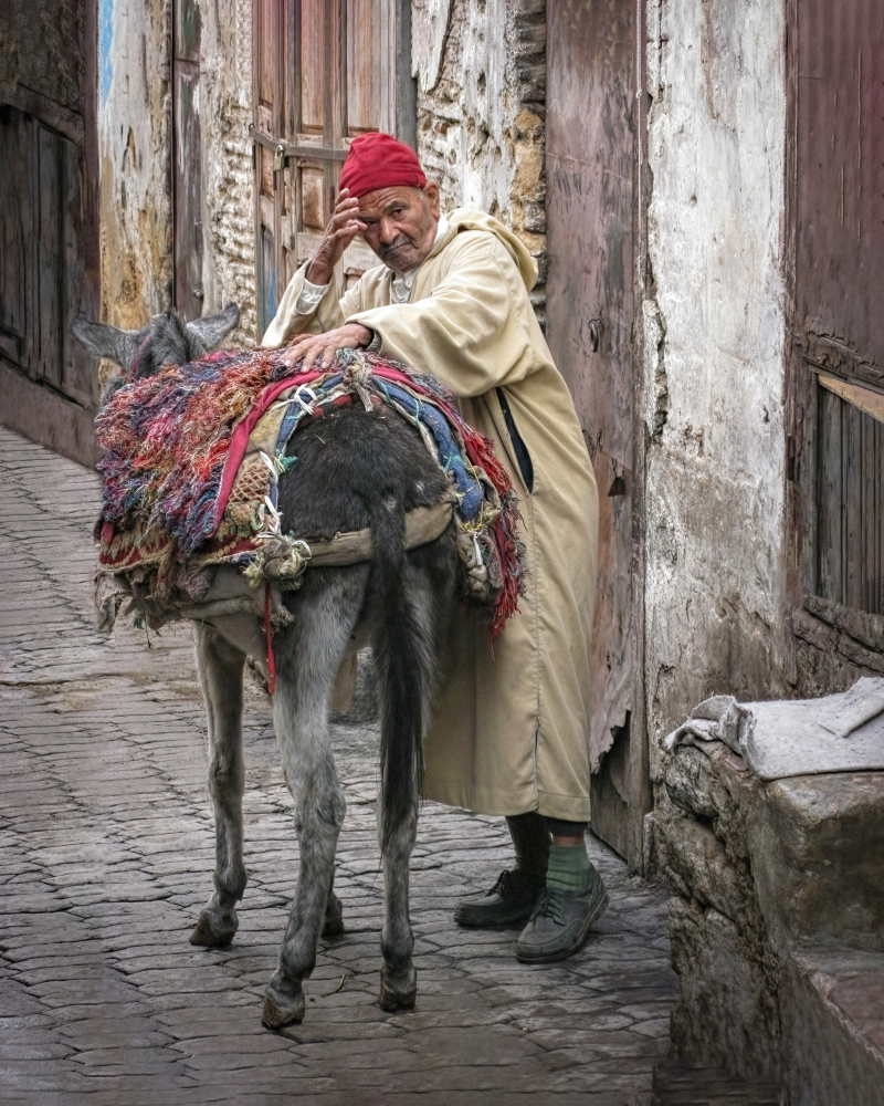 photo "Donkey and its Master" tags: genre, 