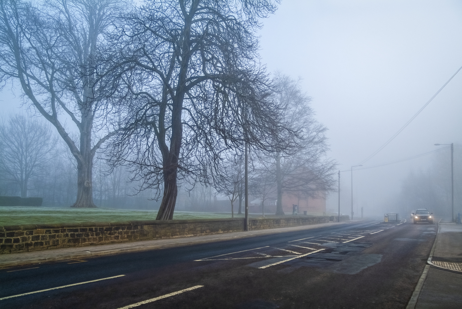 photo "English Fog" tags: landscape, 