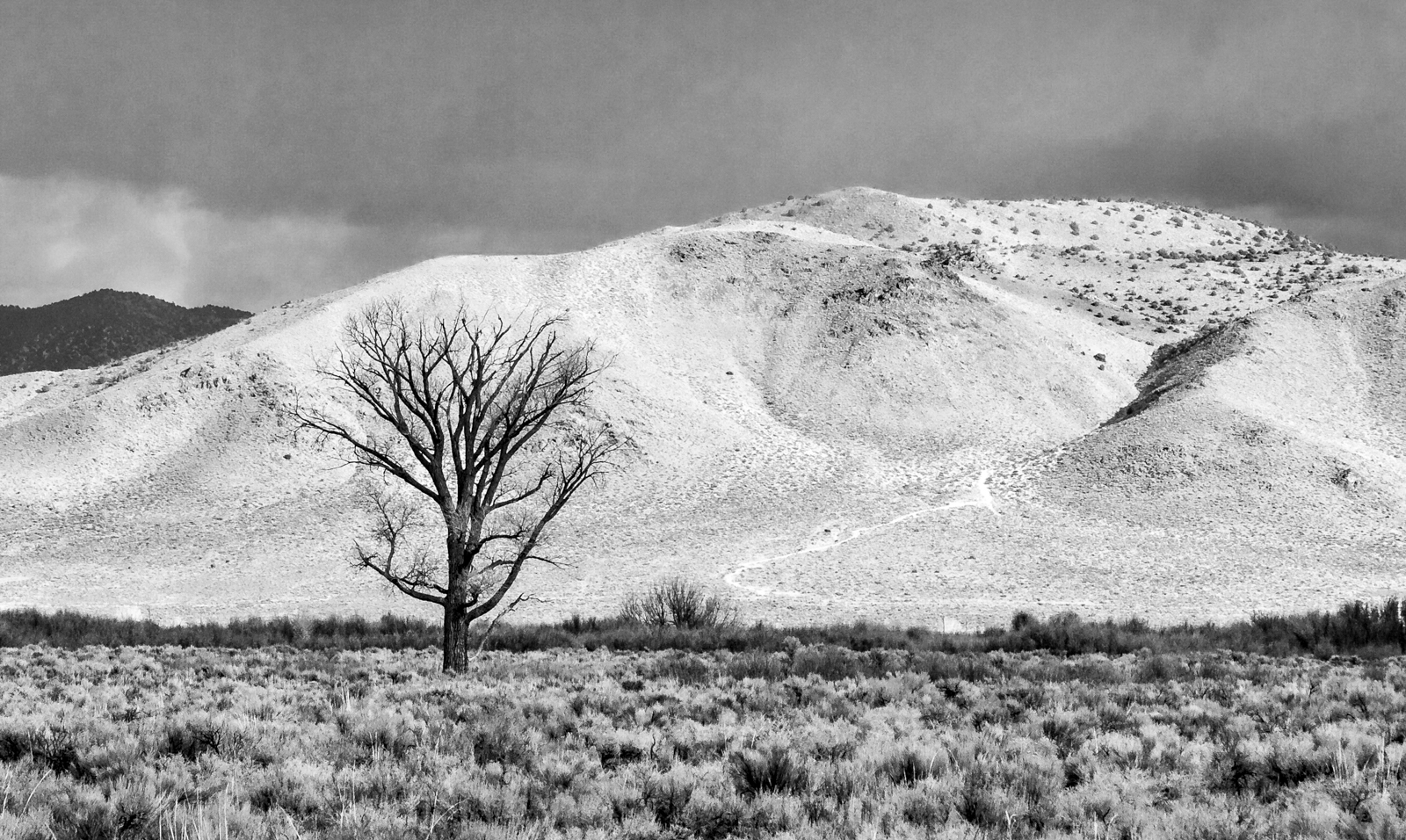 photo "Невада: Nevada Carson Valley Desert" tags: landscape, black&white, BW Pr A Valley of Contrasts 03